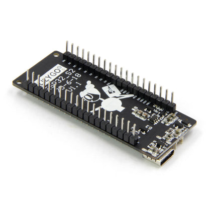 ESP32 S2